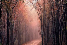 乐投体育：20／21賽季歐冠小組賽第4輪多特蒙德3-0布魯日 哈蘭德梅開二度桑喬傳射建功.