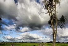 乐投体育：歐聯杯16強附加賽中日德蘭0-4葡萄牙體育 實力懸殊！貢薩爾維斯兩球助葡萄牙體育大勝晉級！.